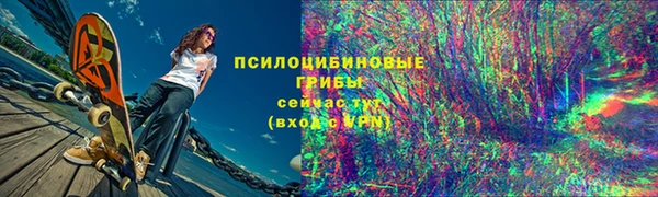 ПСИЛОЦИБИНОВЫЕ ГРИБЫ Михайловка